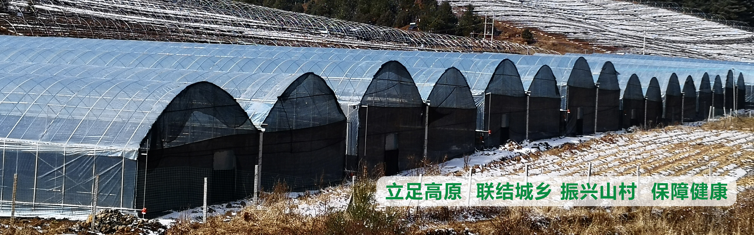 立足高原、聯(lián)結(jié)城鄉(xiāng)、振興山村、保障健康